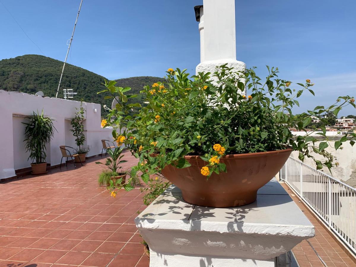 Molo35 Bed & Breakfast Ischia Ngoại thất bức ảnh