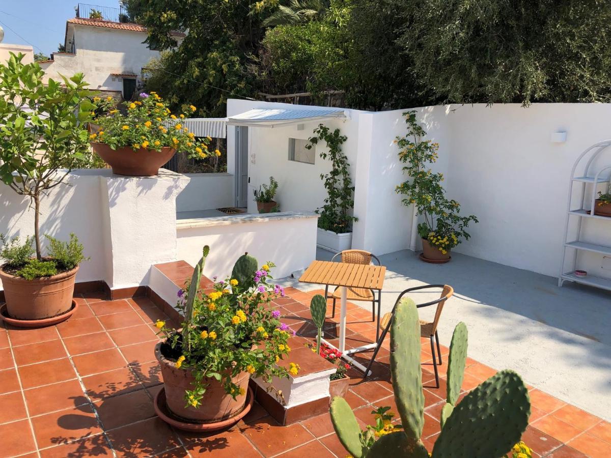 Molo35 Bed & Breakfast Ischia Ngoại thất bức ảnh